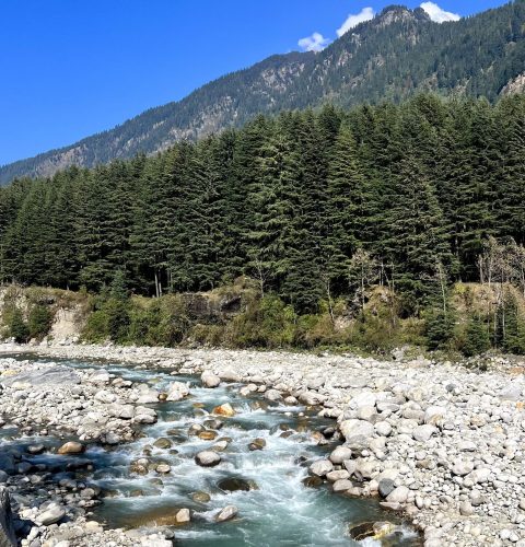 beas-river-view